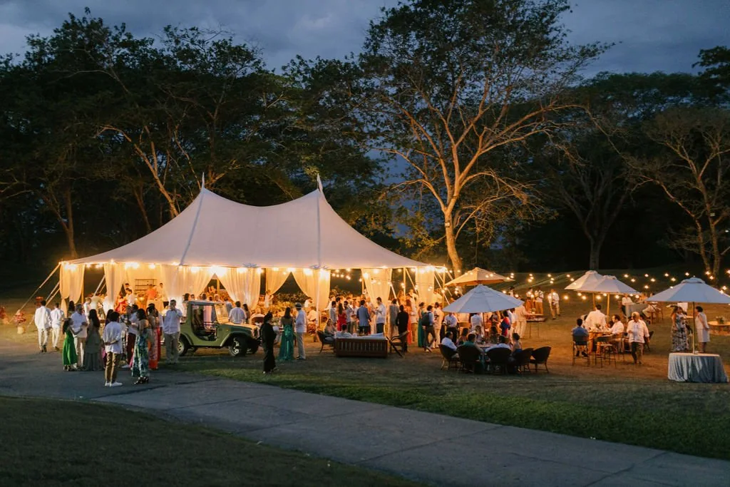 Carpa iluminada al anochecer