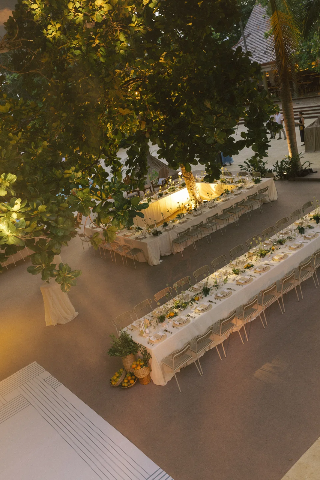 Long table lit under a tree at night